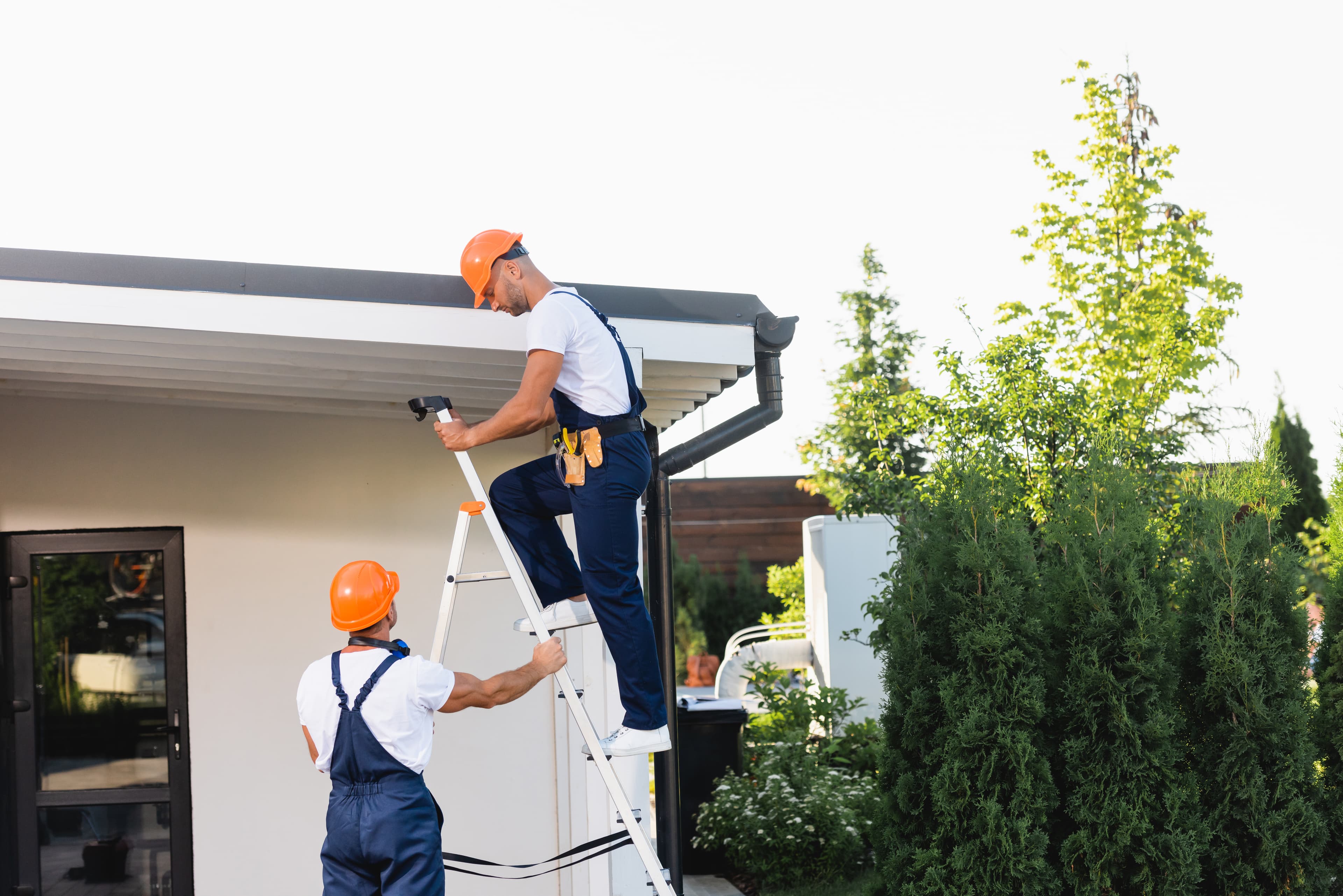 Professional gutter replacement crew on ladder in Tampa Bay